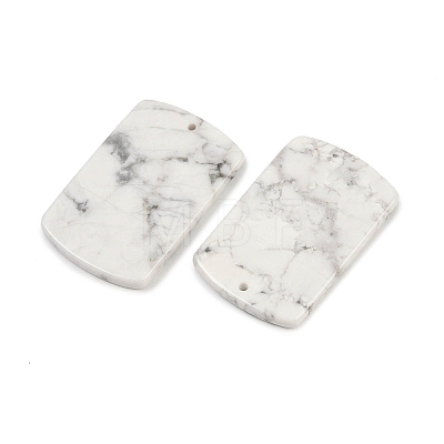 Natural Howlite Pendants G-K354-14I-1