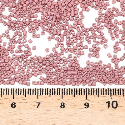 MIYUKI Delica Beads X-SEED-J020-DB2294-1