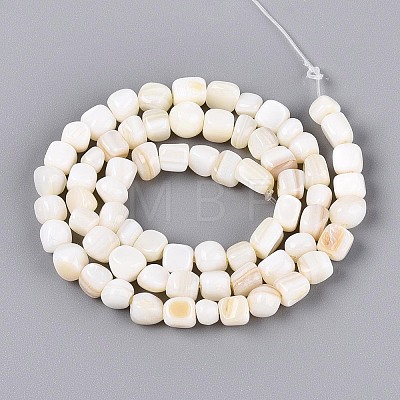 Natural Freshwater Shell Beads Strands BSHE-T014-51B-1