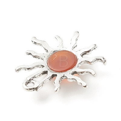 Natural Gemstone Pendants PALLOY-JF01354-1