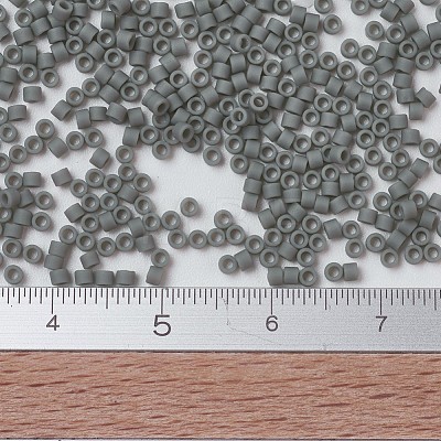 MIYUKI Delica Beads SEED-J020-DB0761-1