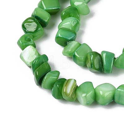 Natural Freshwater Shell Beads Strands SHEL-N037-04J-1