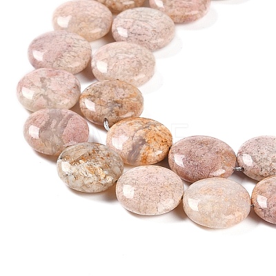 Natural Cherry Blossom Agate Beads Strands G-L246-24-1