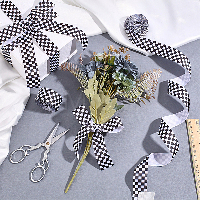 Polyester Ribbon OCOR-WH0109-113-1