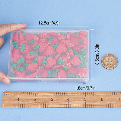 60Pcs 2 Style Resin Cabochons CRES-SC0002-36-1