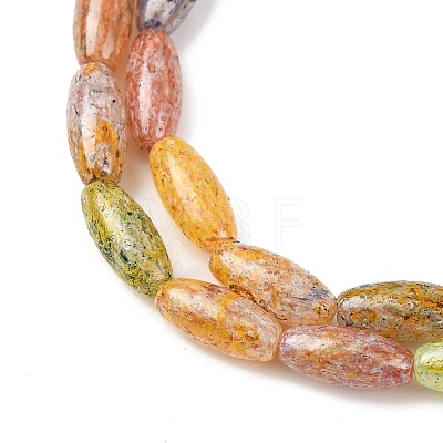 Handmade Lampwork Beads LAMP-B051-02B-1