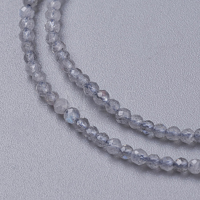 Natural Labradorite Beads Strands G-F596-43-3mm-1