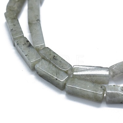 Natural Labradorite Beads Strands G-F631-E22-1