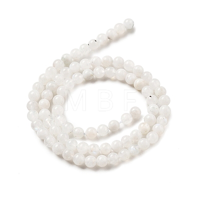 Round Grade A Natural Rainbow Moonstone Bead Strands G-M304-06-5mm-1