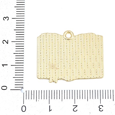 Back to School Alloy Enamel Pendants FIND-E054-02M-1