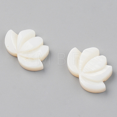 Natural Freshwater Shell Beads X-SHEL-S276-103-1