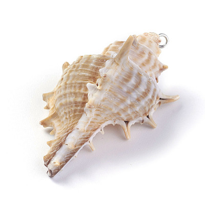 Spiral Shell Pendants BSHE-G019-04P-1