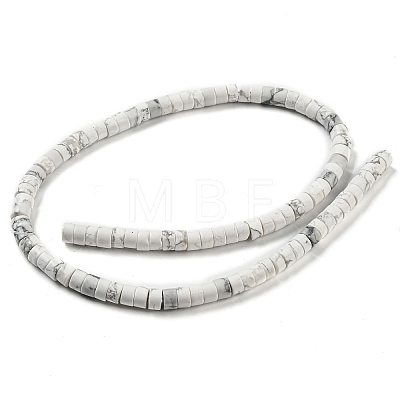 Natural Howlite Beads Strands G-M420-A02-01-1