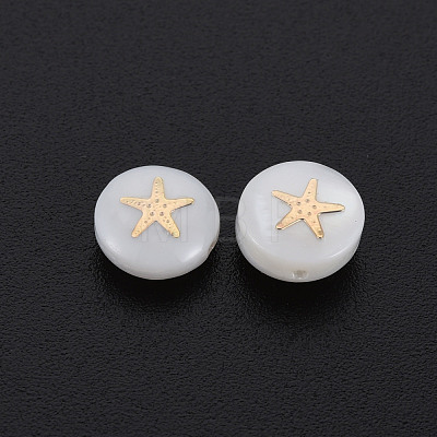 Natural Freshwater Shell Beads SHEL-S278-063-1