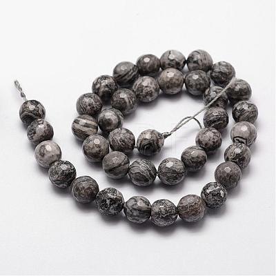Natural Map Stone/Picasso Stone/Picasso Jasper Beads Strands G-D840-35-6mm-1