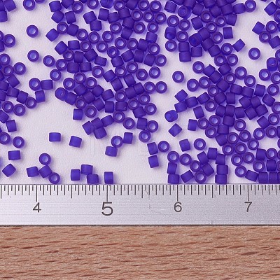 MIYUKI Delica Beads SEED-JP0008-DB0748-1