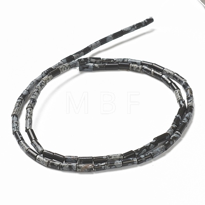 Natural Snowflake Obsidian Beads Strands G-B004-A12-1