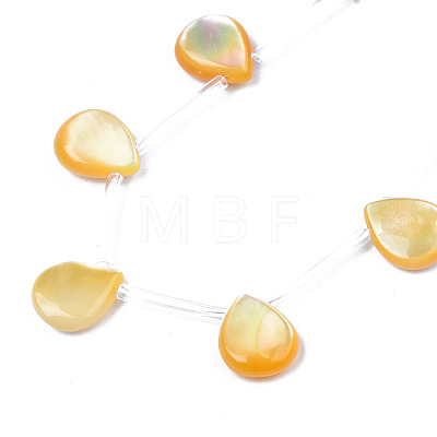 Natural Yellow Shell Beads Strands SSHEL-S278-117-1