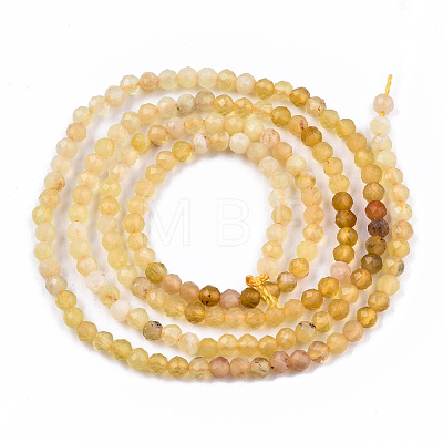 Gradient Style Natural Yellow Opal Beads Strands G-S362-073-1