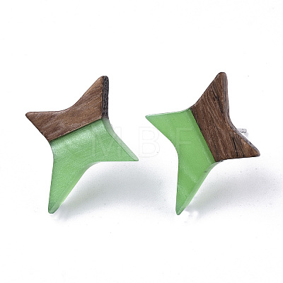 Resin & Walnut Wood Stud Earrings EJEW-N017-004A-B02-1