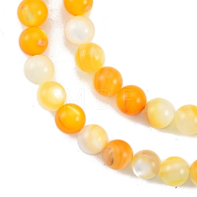 Natural Golden Yellow Shell Beads Strands SSHEL-G024-01B-1