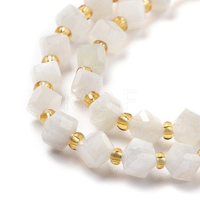 Natural White Moonstone Beads Strands G-P463-16-1