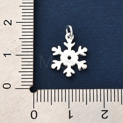 925 Sterling Silver Pendants FIND-Z069-04S-B-1