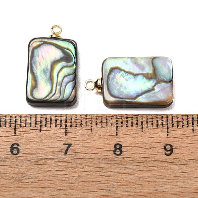 Natural Abalone Shell Pendants SH-CJC0AC7-01H-G-1