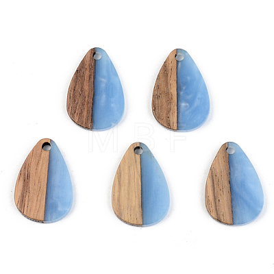 Resin & Walnut Wood Pendants RESI-S389-027A-1