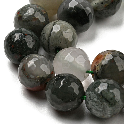 Natural Afican Bloodstone Beads Strands G-C079-B02-02-1