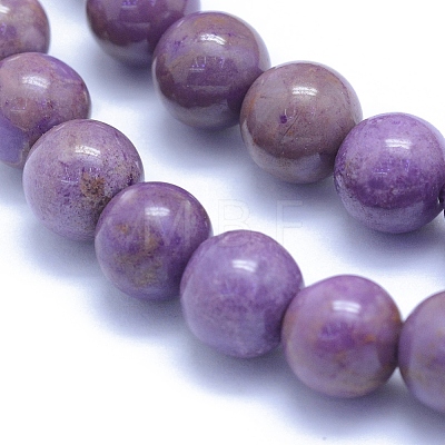 Natural Lepidolite/Purple Mica Stone Beads Strands G-L552H-09B-1