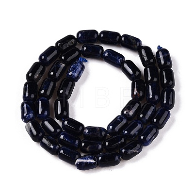 Natural Sodalite Beads Strands G-G980-37A-1