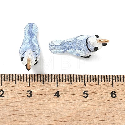 Spray Painted Opaque Resin Pendants RESI-K203-18-1