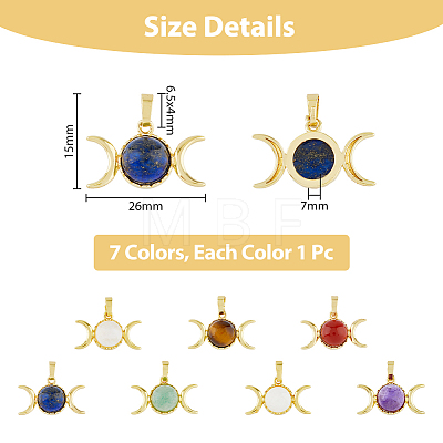 7Pcs 7 Styles Natural Mixed Gemstone Pendants G-DC0001-28-1