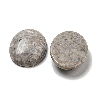 Natural Maifanite Cabochons G-C115-01B-30-1