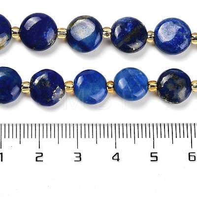 Natural Lapis Lazuli Beads Strands G-H005-B09-01-1