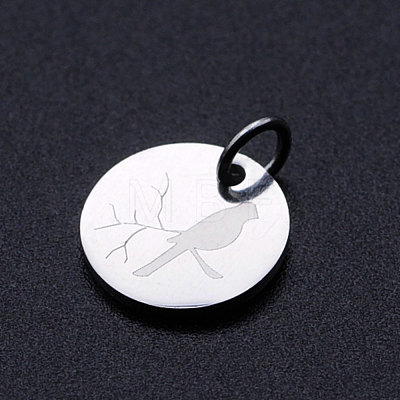 201 Stainless Steel Charms STAS-T049-T674-1-1