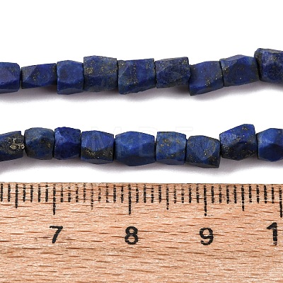 Natural Lapis Lazuli Beads Strands G-F808-K01-01-1