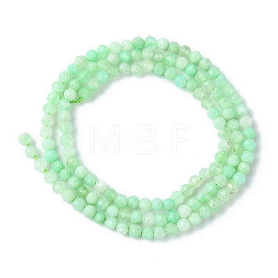 Natural Chrysoprase Beads Strands G-F748-X01-02A-1