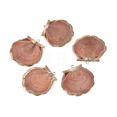 Electroplated Golden Brass Trim Natural Sea Shell Pendants SSHEL-N042-33-1