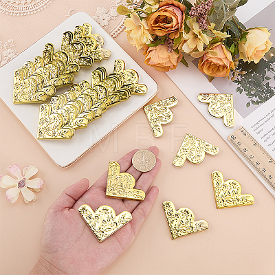 50Pcs Iron Triangle Corner Protector for Wood Box IFIN-FG0001-07G-1