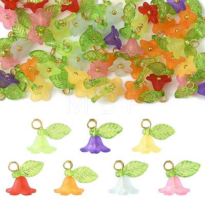 50Pcs Transparent Acrylic Pendants PALLOY-FS00043-06-1