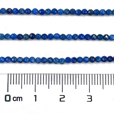 Natural Lapis Lazuli Beads Strands G-L587-A03-01-1