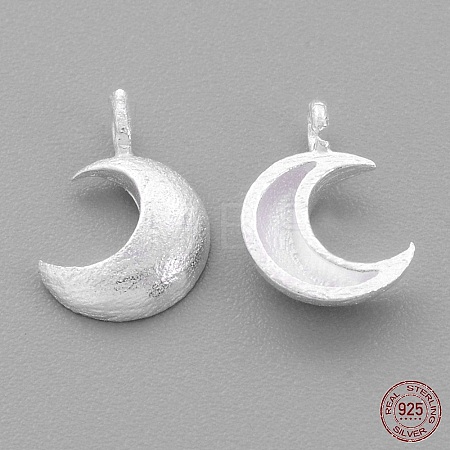Sterling Silver Charms X-STER-G011-28MS-1