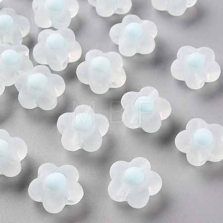 Transparent Acrylic Beads TACR-S152-09C-10-1