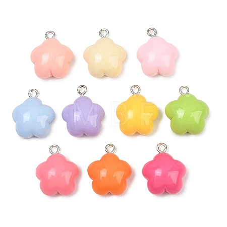 Opaque Resin Pendants RE-CBAF00C-12-1