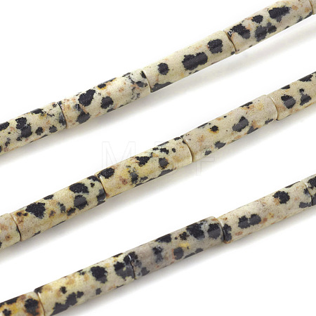 Natural Dalmatian Jasper Beads Strands G-F247-21-1