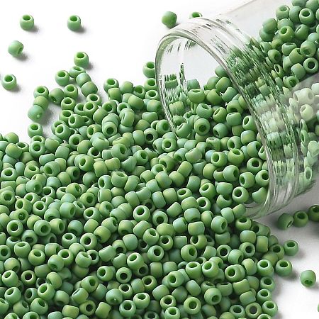 TOHO Round Seed Beads SEED-JPTR11-0407F-1