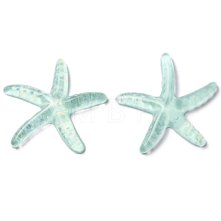 Translucent Resin Sea Animal Cabochons RESI-B016-01F-1