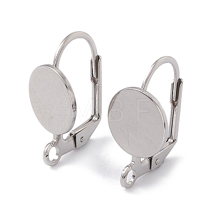 Tarnish Resistant 304 Stainless Steel Leverback Earring Findings STAS-G291-06P-1